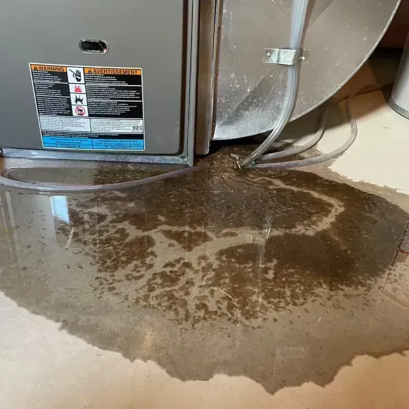 Appliance Leak Cleanup in Collins, MS